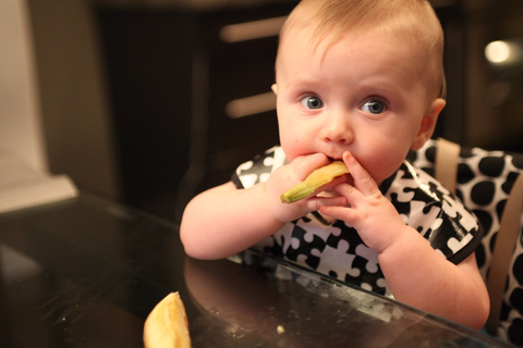 10 Month Old Baby Led Weaning Foods